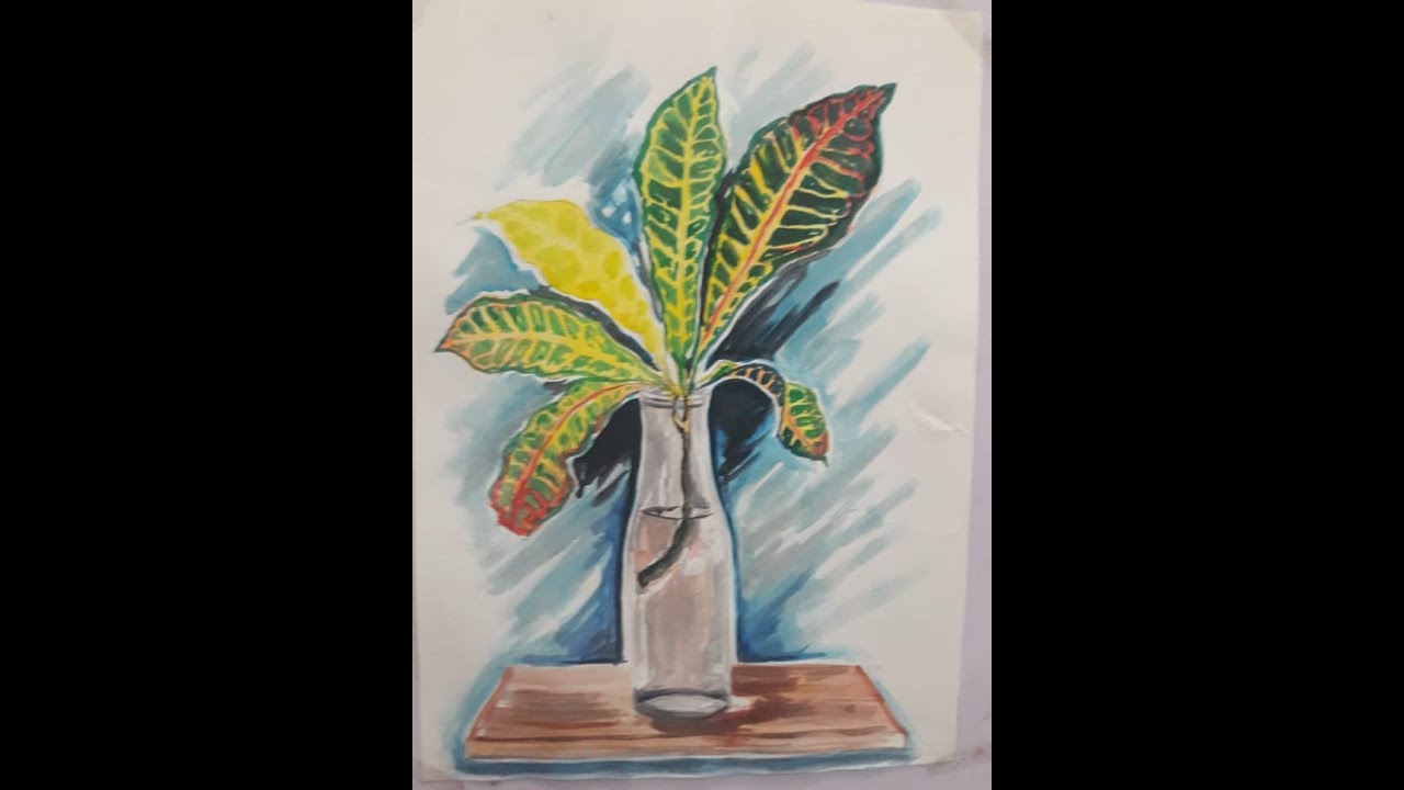 Object Drawing (drawing croton leaves)