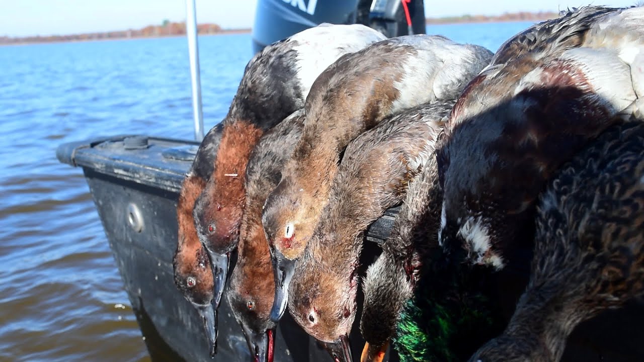 Canvasbacks & Mallards - Diver and Puddle Duck Mixed Hunt | Ep 4.3 Duck Hunting 2024