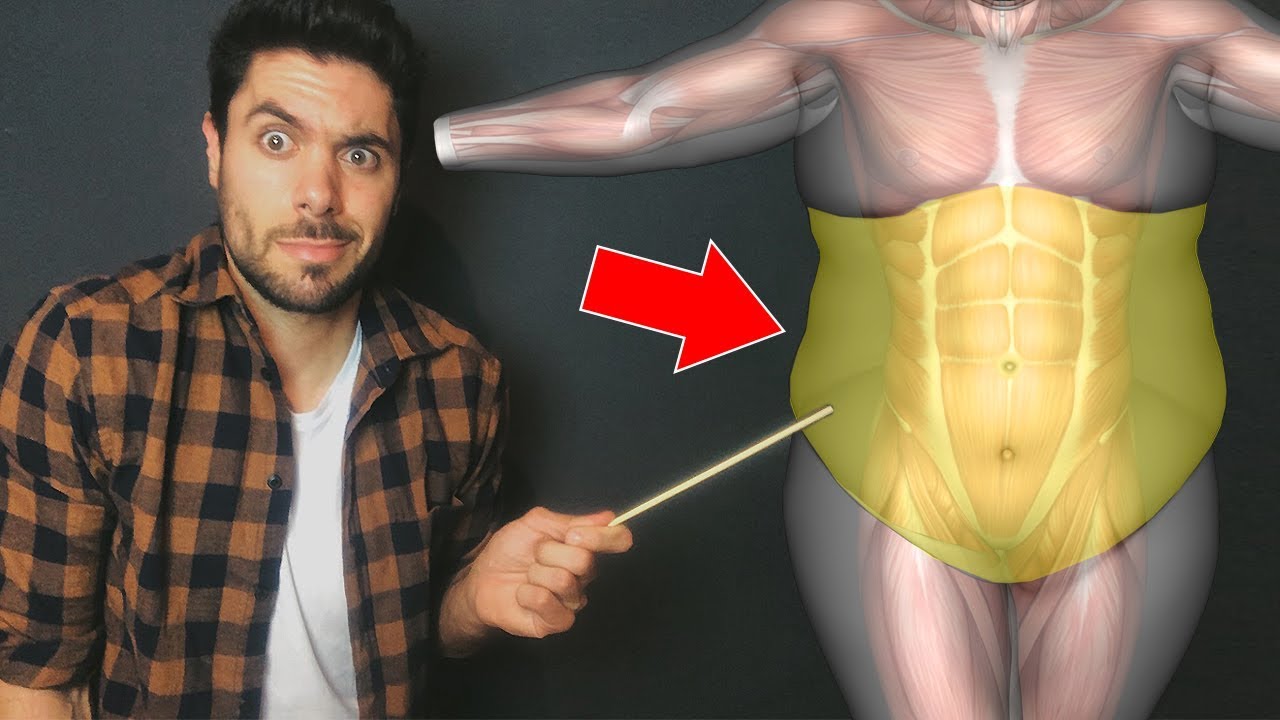 5 CHOSES QUI VOUS FONT GROSSIR  DU VENTRE