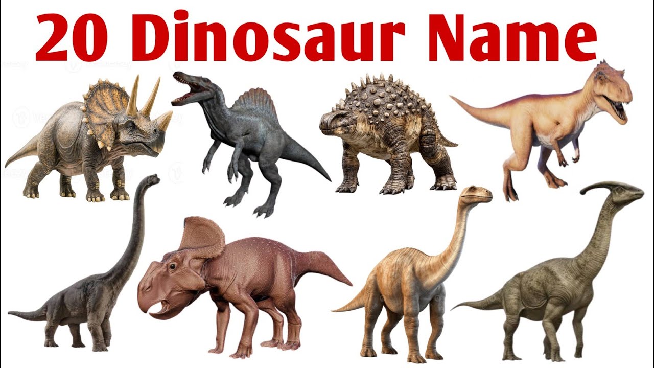 20 Dinosaur Names for Kids | English & Hindi | Fun Facts & Easy Learning