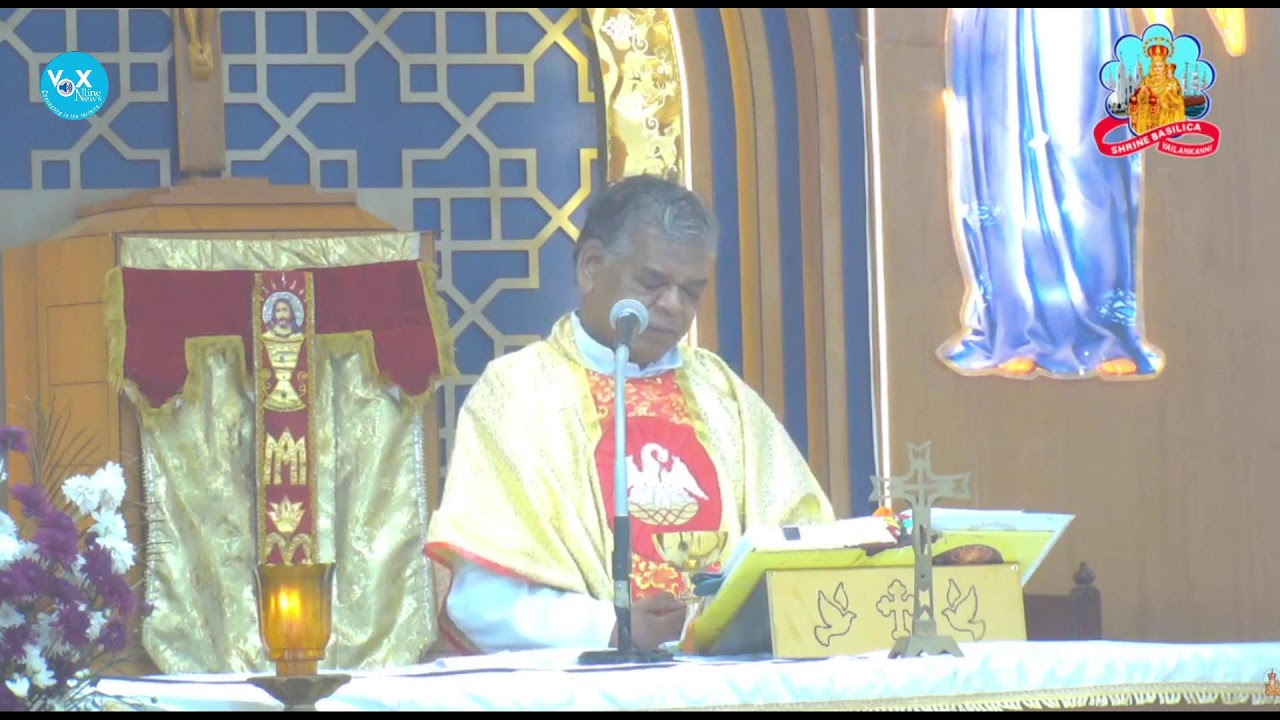 🔻 LIVE MASS || വേളാങ്കണ്ണി പള്ളിയിൽ നിന്ന് മലയാളം ദിവ്യബലി തത്സമയം || (MON to SAT 9 AM)