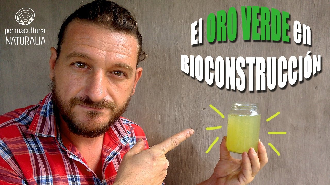 🧱 BABA de TUNA o NOPAL |ADITIVO NATURAL para BIOCONSTRUCCIÓN| Mejorá TODAS tus mezclas de BARRO