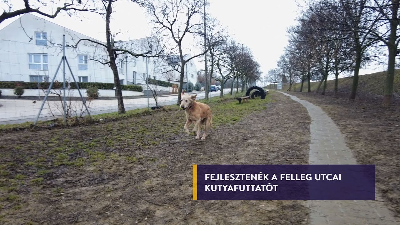 7KÖZBEN 2026. febr. 4.