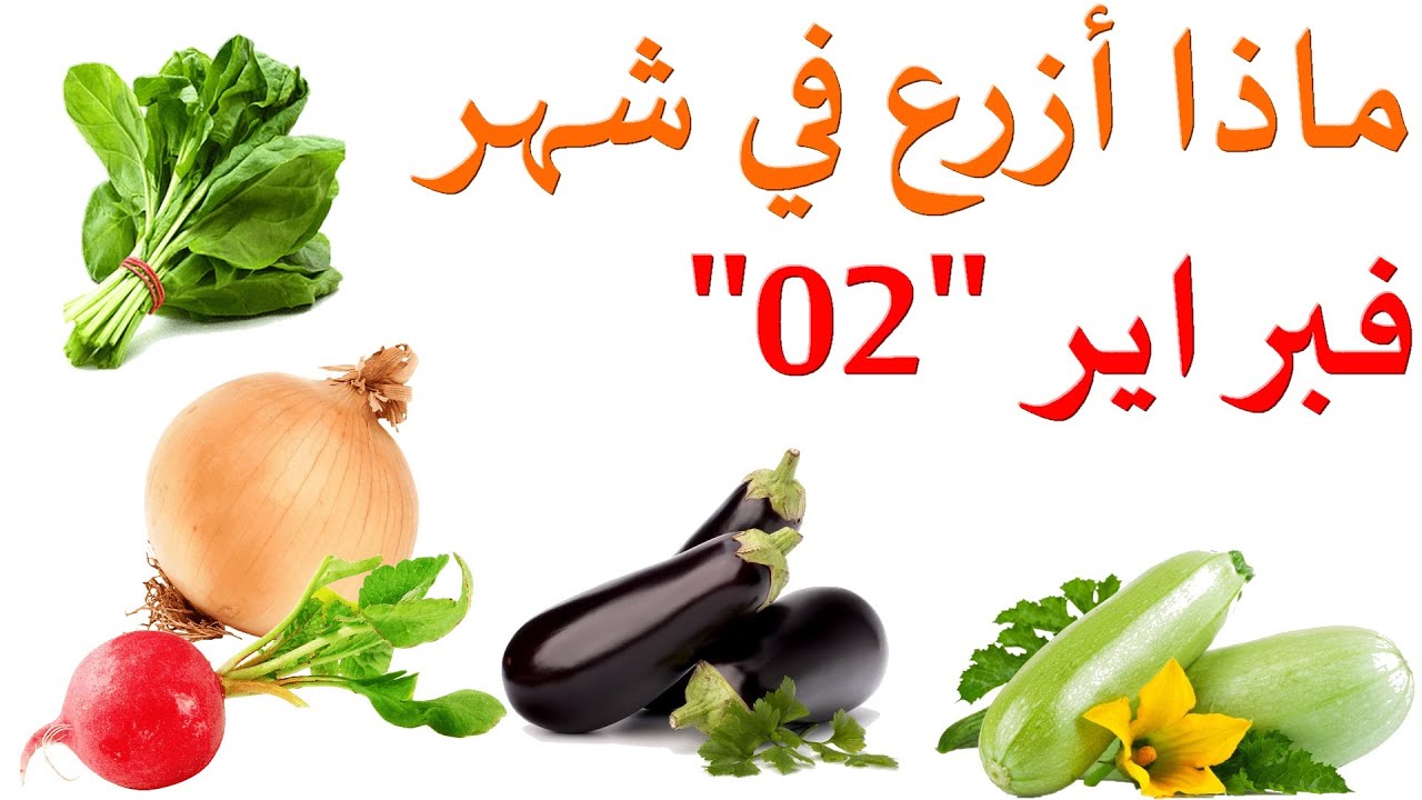 ماذا يزرع في شهر02 فبراير ، شباط