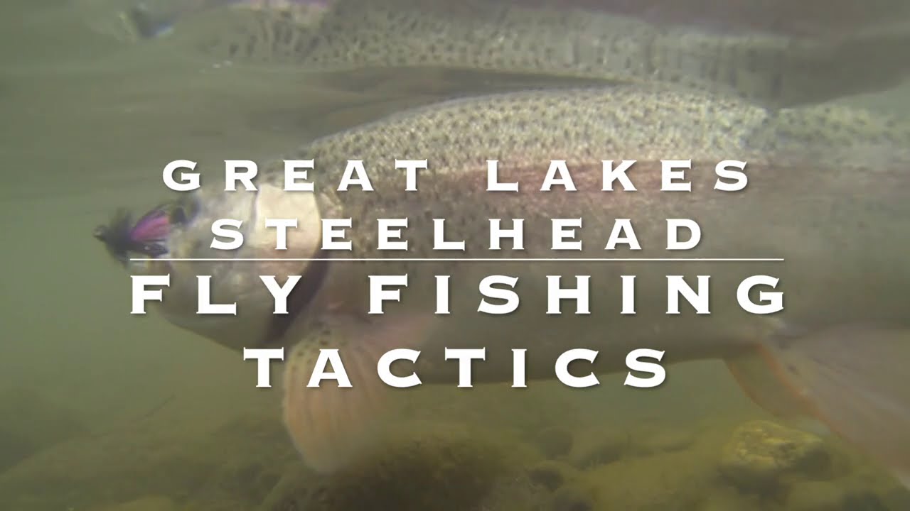 Great Lake Steelhead Fly Fishing Tips
