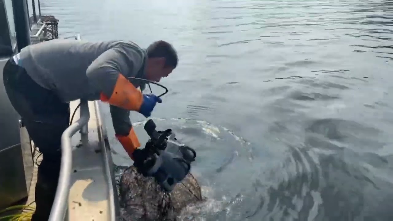 Oppryddingstokt i Drøbak