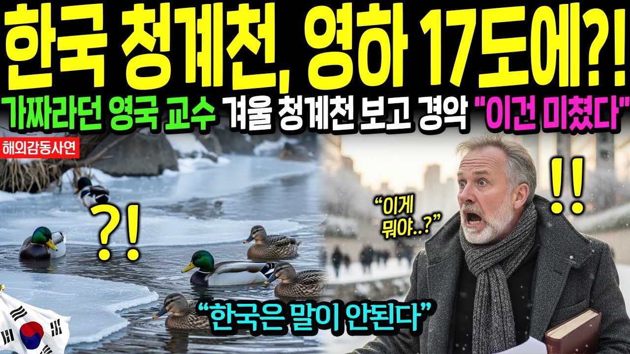 [해외감동사연] 