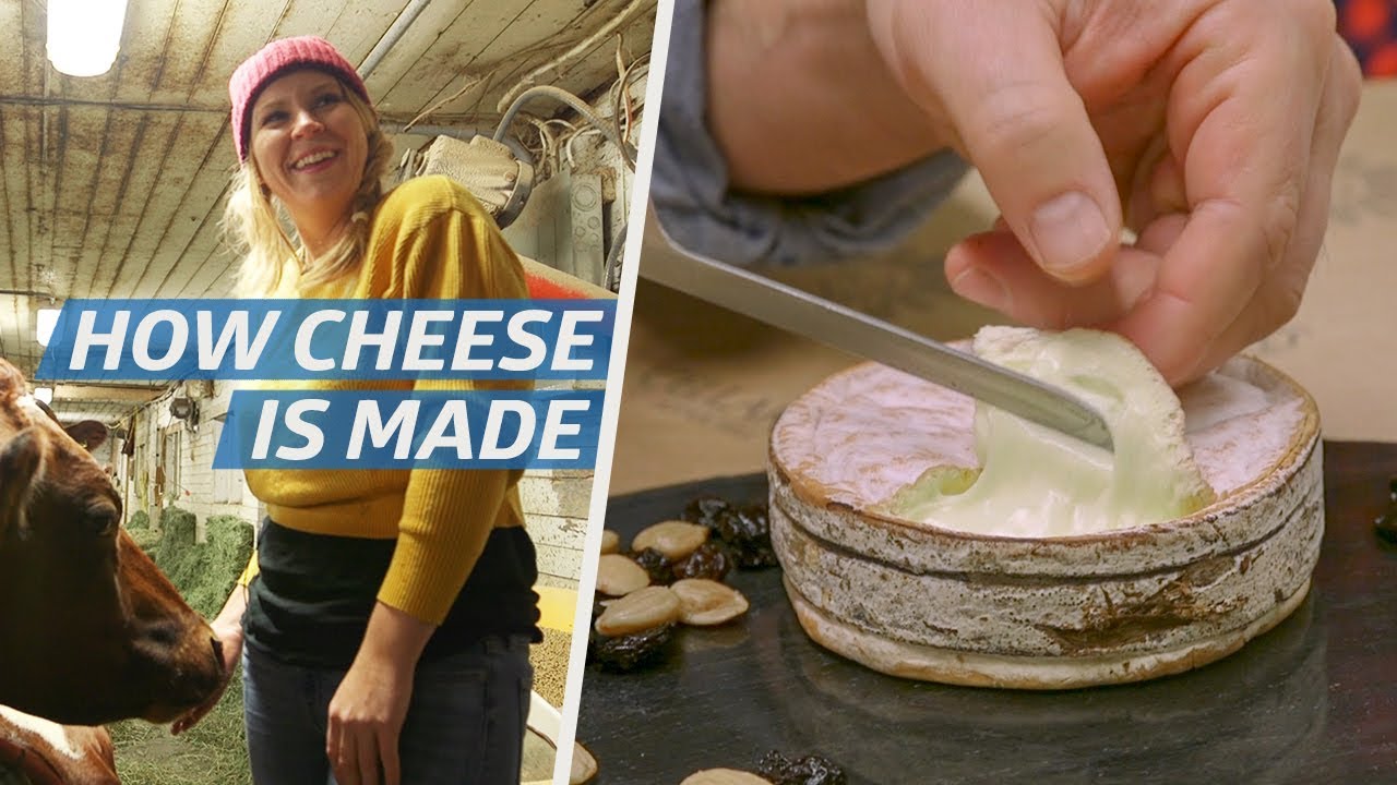 How Cheese Is Made &mdash; How to Make It