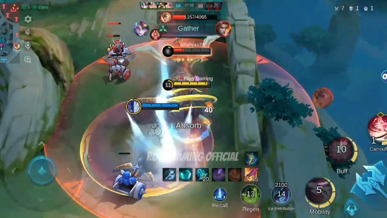 Collector Natalia Highlights 