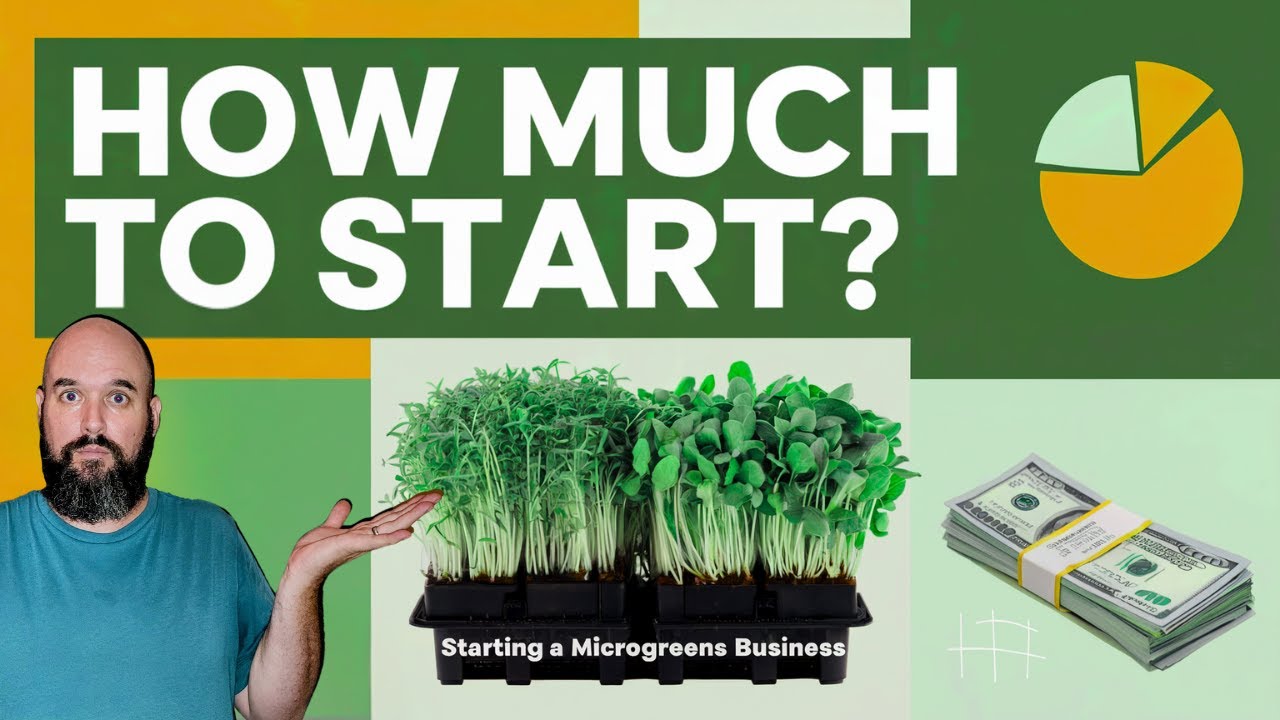 Start Your Microgreens Business for Less Than You Think!