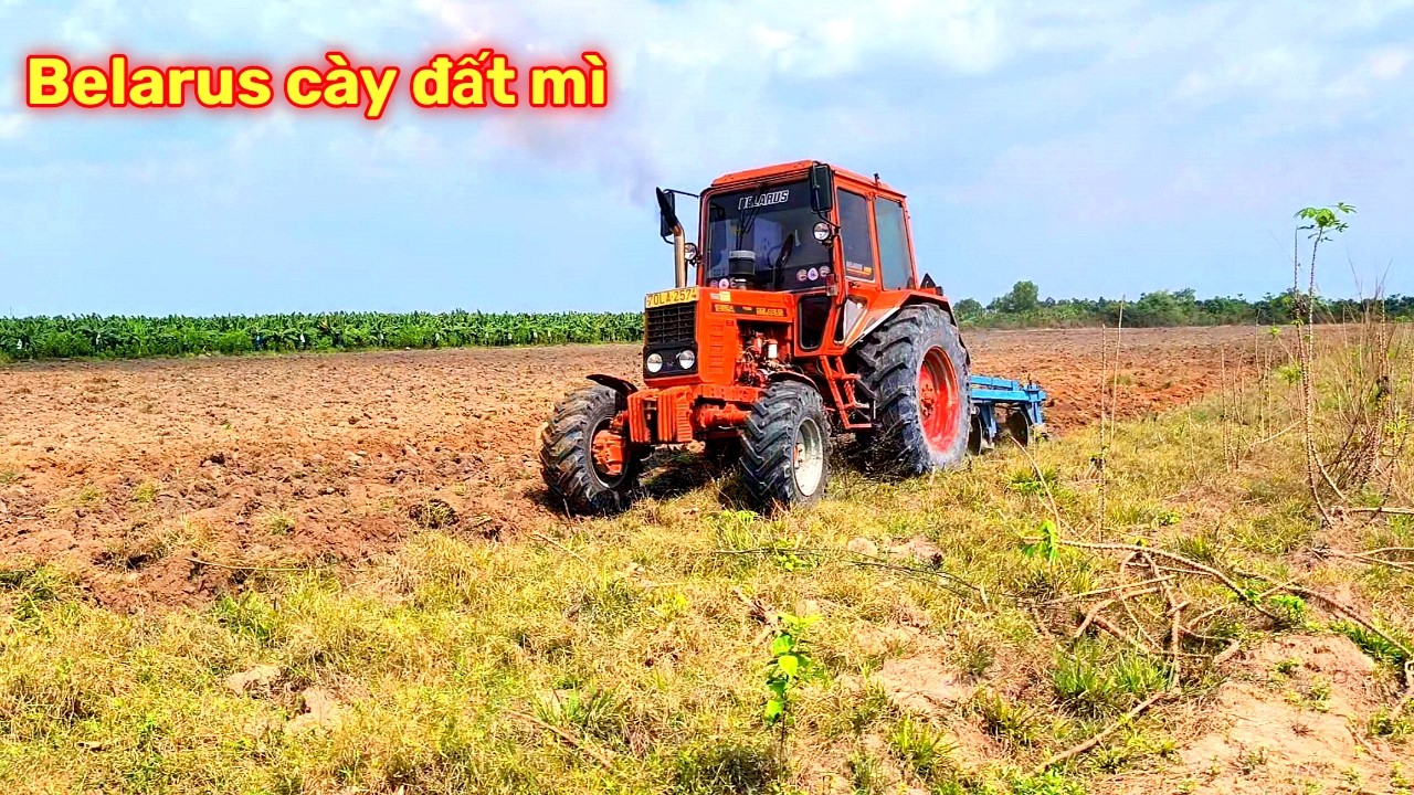 Belarus cày đất mì ở phú mỹ hưng