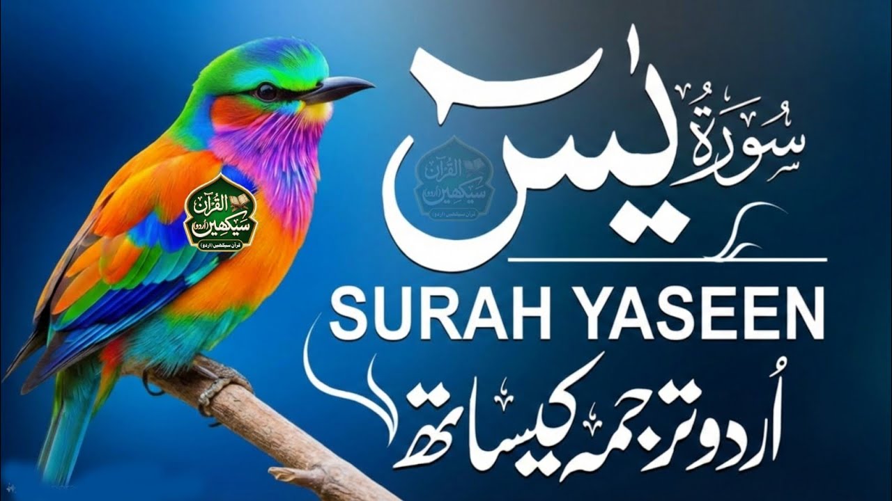 Heal Your Soul: Surah Yasin | Soft & Gentle Recitation | Very Relaxing | سورة يس 
