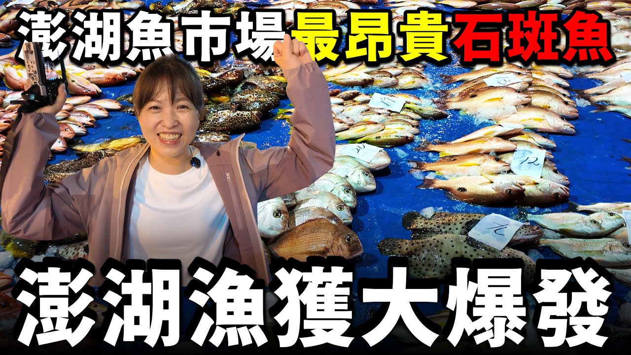 壞天氣前夕，澎湖魚市場漁獲大爆發，延繩釣漁船的頂級活魚回到港口拍賣！！