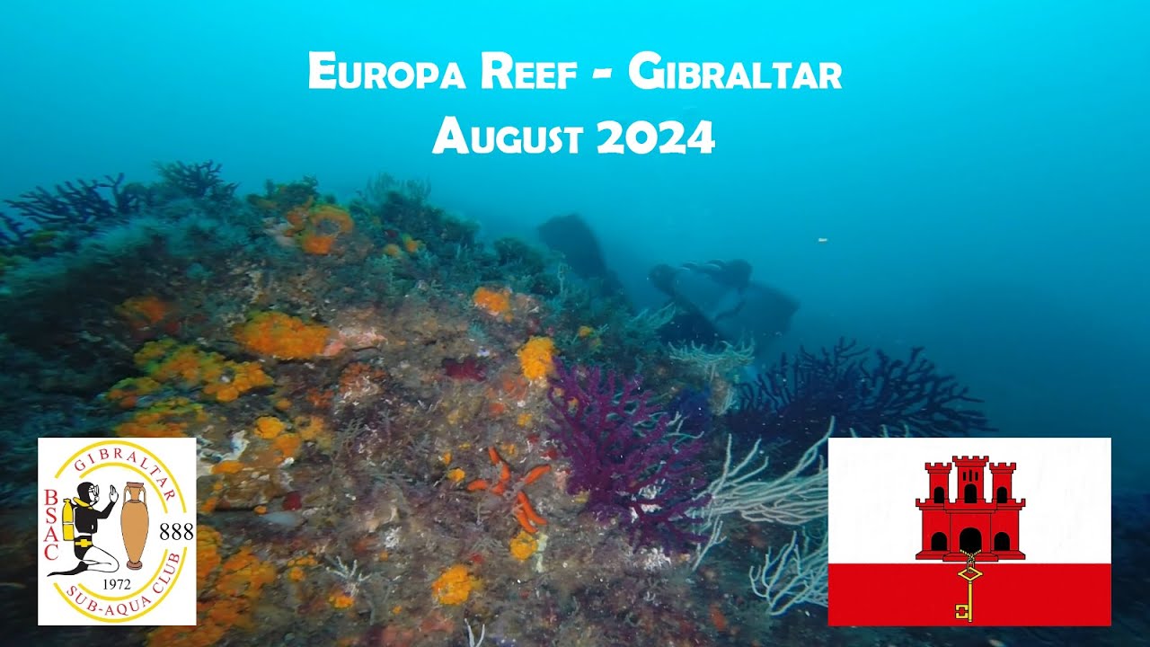 Europa Reef Gibraltar - August 2024