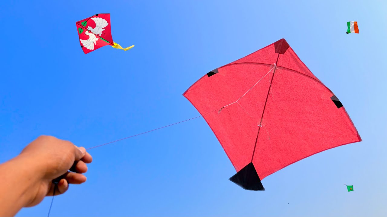 Caught Kite On Other Roof | Kite Catching | Kite 😱