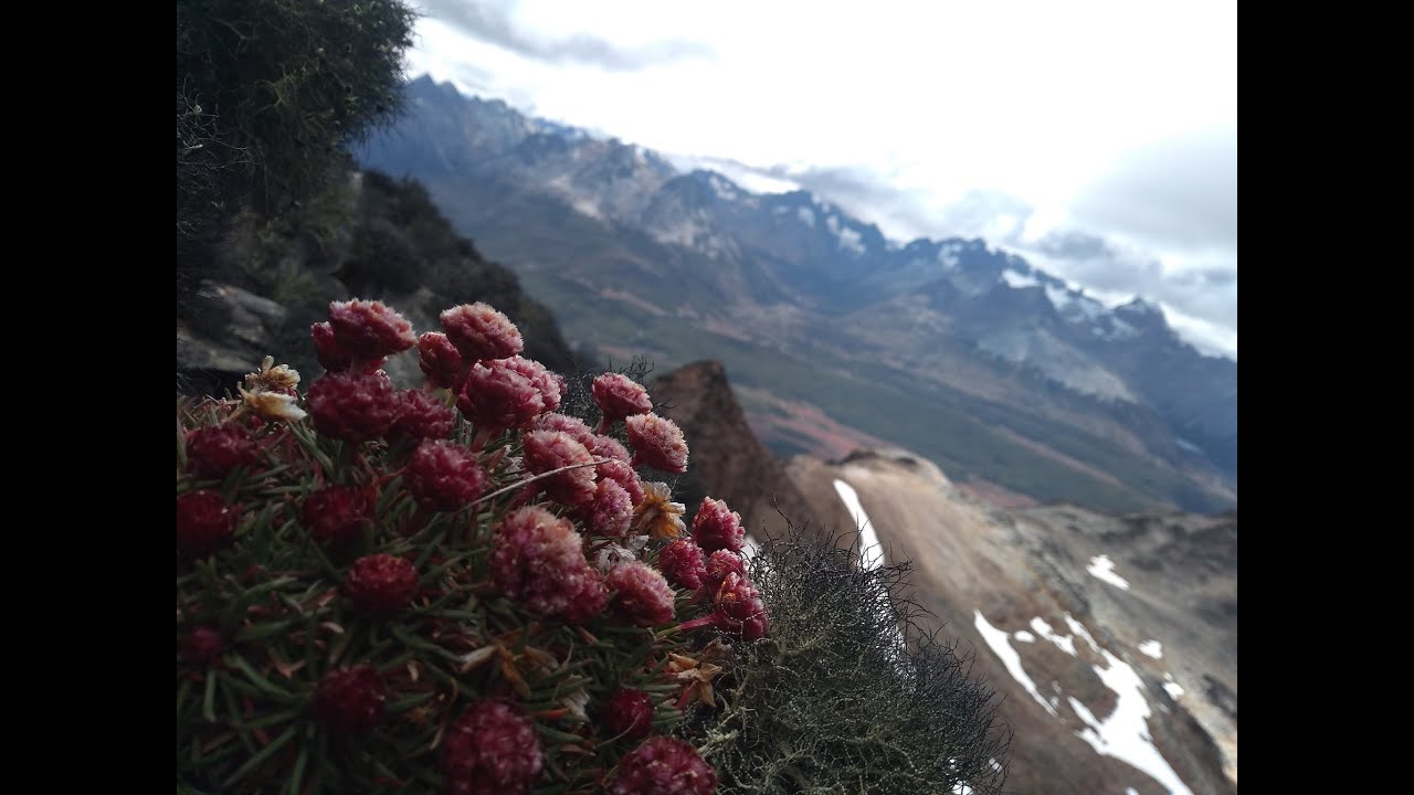 Ventana del Monte Olivia, Ushuaia