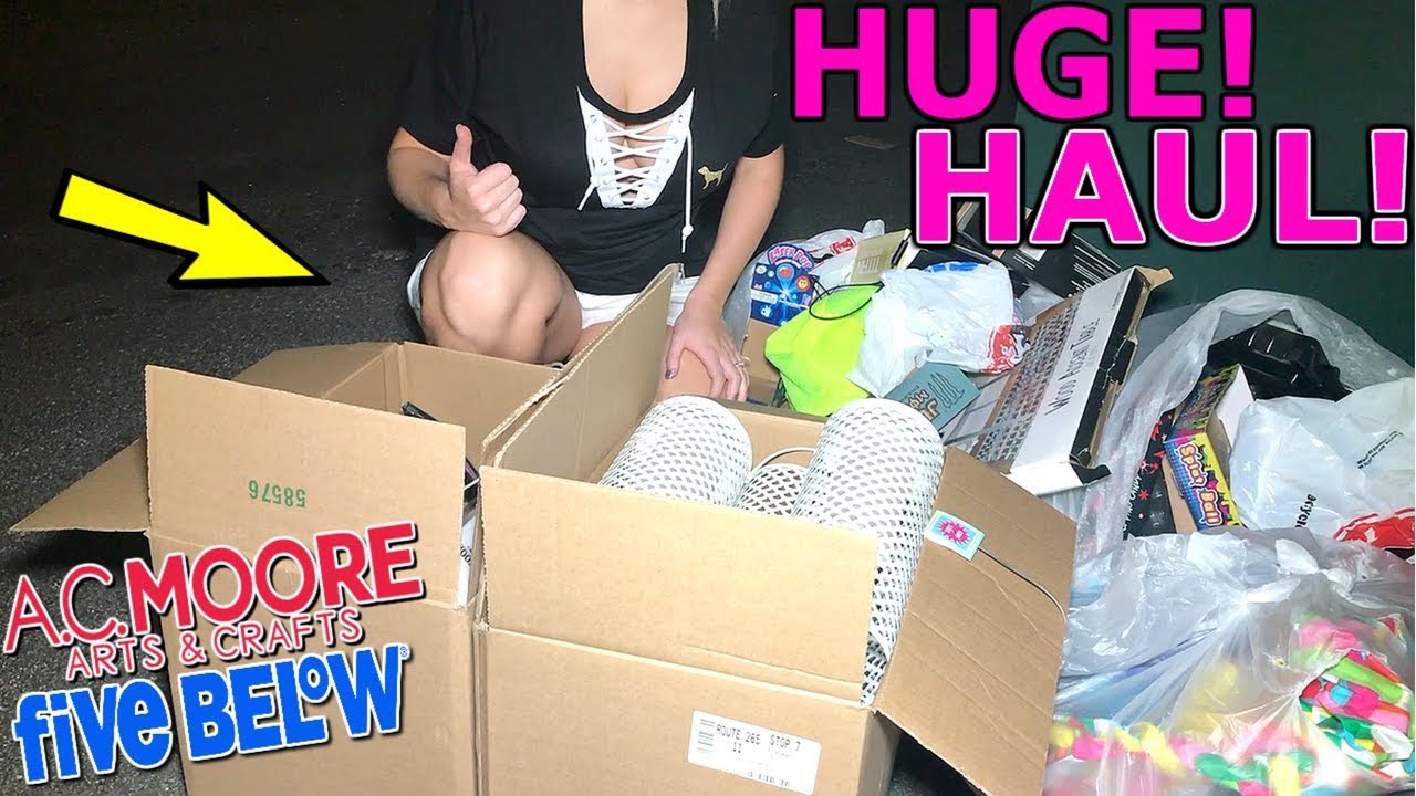 SHE FOUND 5* BAGS! LEFT IN THE FIVE BELOW DUMPSTER FOR US! + MASSIVE A.C MOORE HAUL! NIGHT #263
