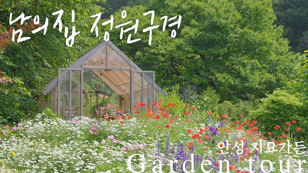 [남의집정원구경] 자연으로 도자기를 빚는 지숙경 도예가의 1300평 자연을 닮은 정원 ‘이렇게 많은 올라야꽃을 보셨나요?’