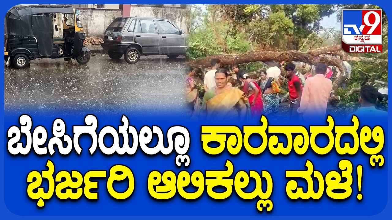 Heavy Rain in Karwar: ಆಲಿಕಲ್ಲು ಸಹಿತ ಅಬ್ಬರದ ಗಾಳಿ ಮಳೆಗೆ ಧರೆಗುರುಳಿದ ಬೃಹತ್ ಮರ | #TV9D