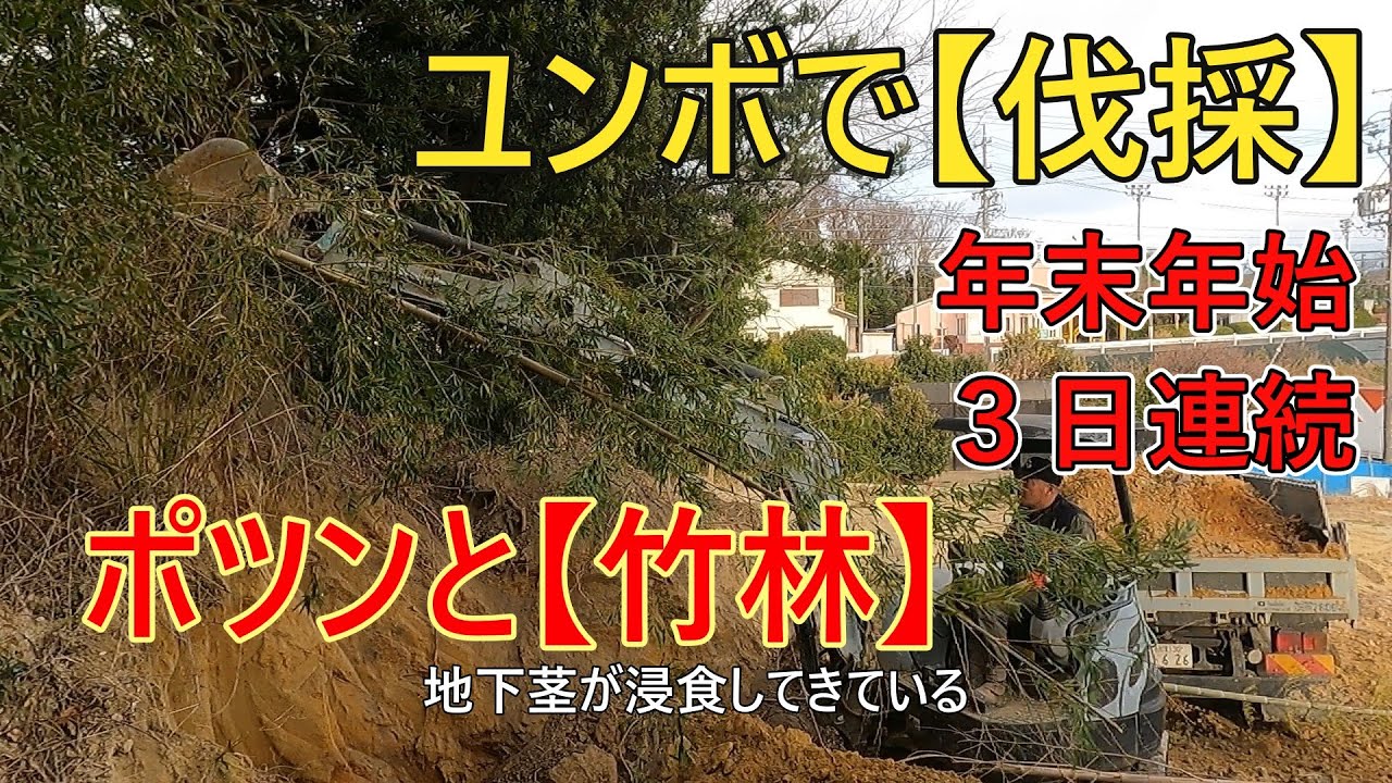 海の秘密基地＃４０３【年末年始】３日連続の掘削と搬出