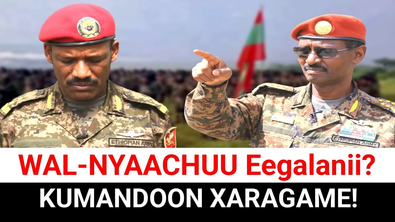 KUMANDOO XARAGAME: Shawaa Keessatti Maaltu Ta'e? Birhanu fi Shumaa | Moha Oromo 
