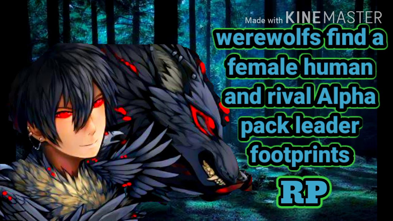 Werewolf's find a female human and rival Alpha pack leader footprints Asmr RP