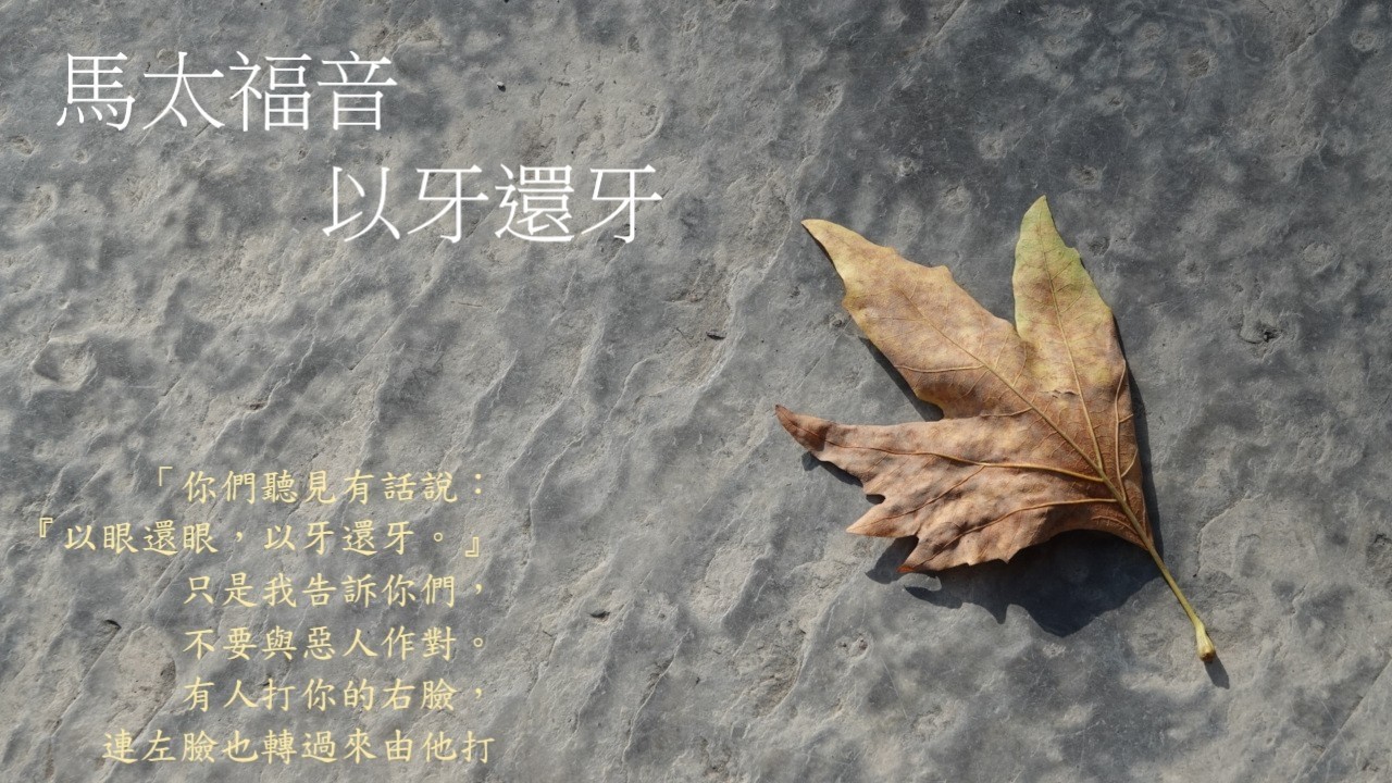 靈修:馬太福音-以牙還牙 20260315