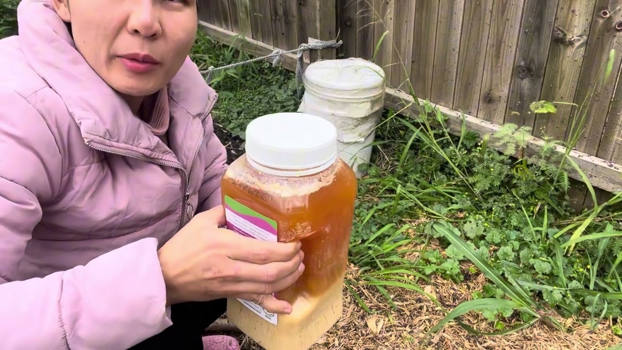 Cách làm men vi sinh EM1 để khử mùi rát thải thành đất trồng và ủ phân cá thành phân tưới cây trồng