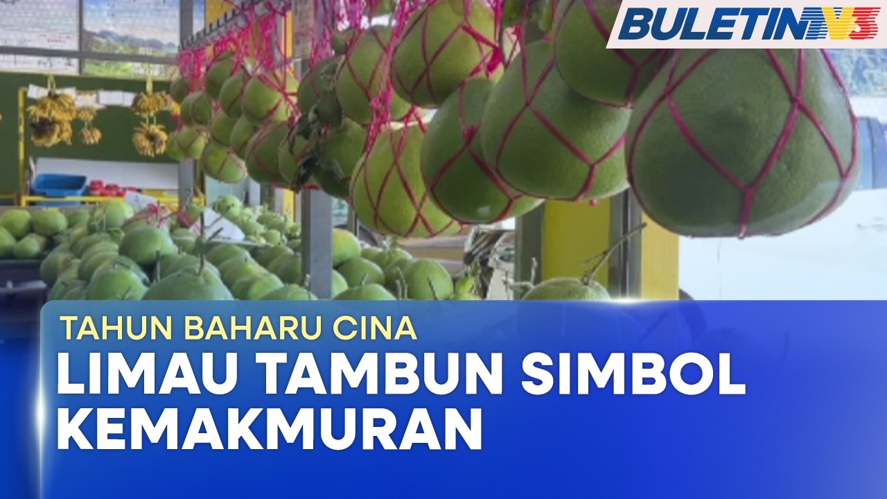 TAHUN BAHARU CINA | Limau Tambun Simbol Kemakmuran, Kekal Jadi Pilihan Utama (BU)