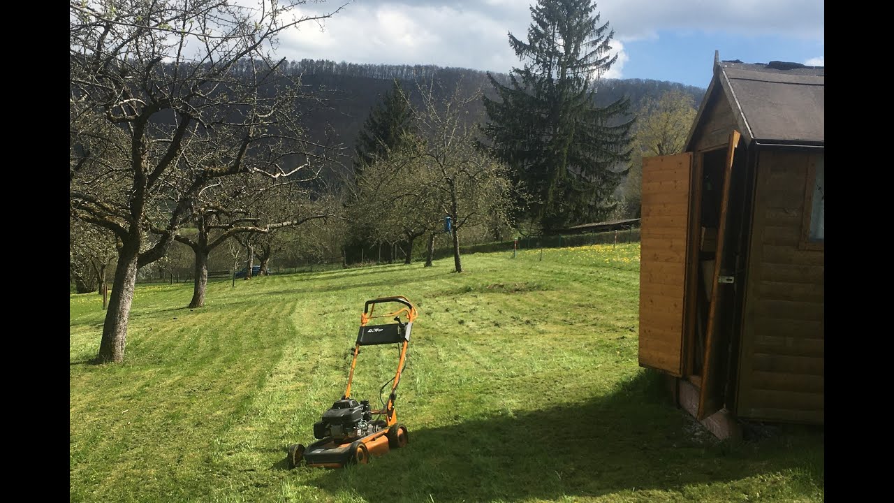 Wiese mulchen 1. Mal 2021