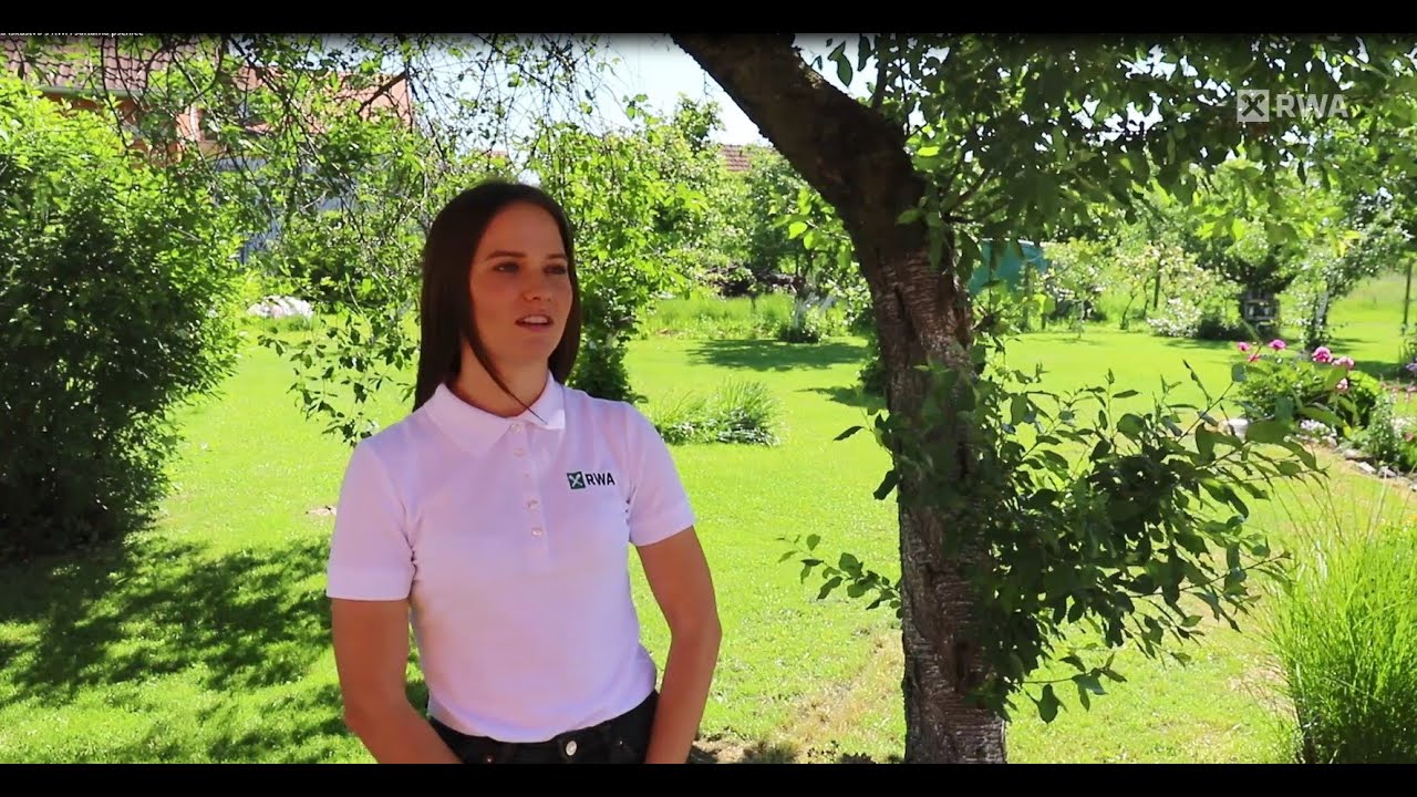 Agro-crnica iskustvo s RWA sortama pšenice