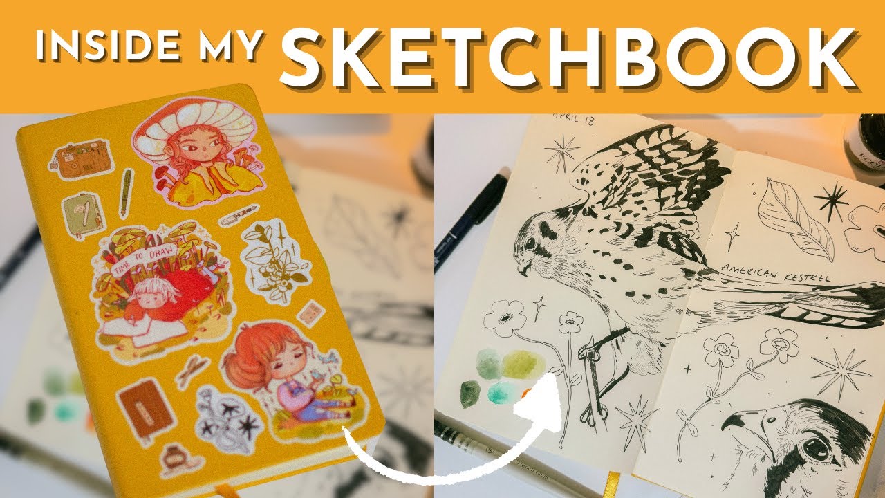 2025 Sketchbook Tour | Bird Drawings, Travel Sketches, and Gouache Landscapes
