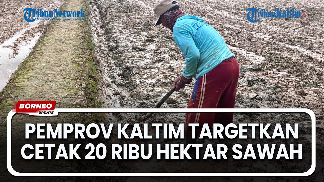 13.900 Hektare Lahan Telah Dioptimalisasi di 2025, Pemprov Kaltim Fokus Cetak 20.000 Sawah di 2026
