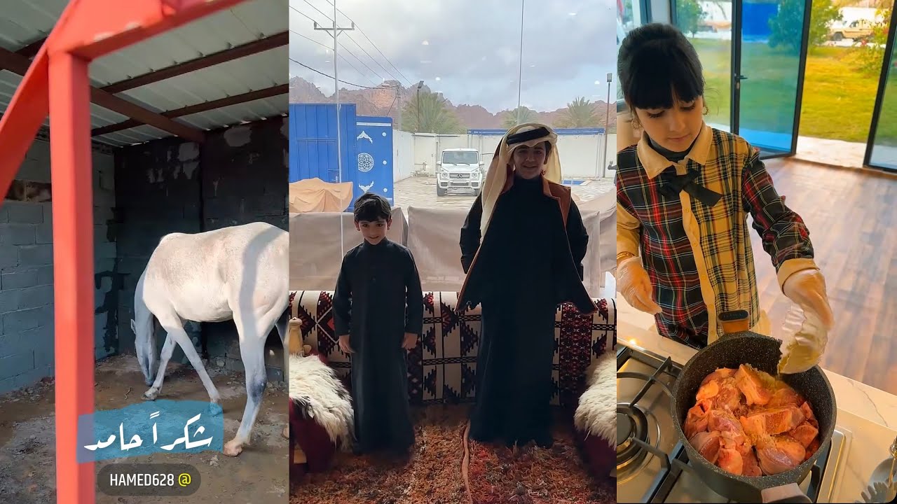 سنابات عساف الشمري| اول طبخة للسنعات بالمطبخ الجديد👌🥰، امنية عساف تحققت، الخيل العربي الاصيل 🐴😍