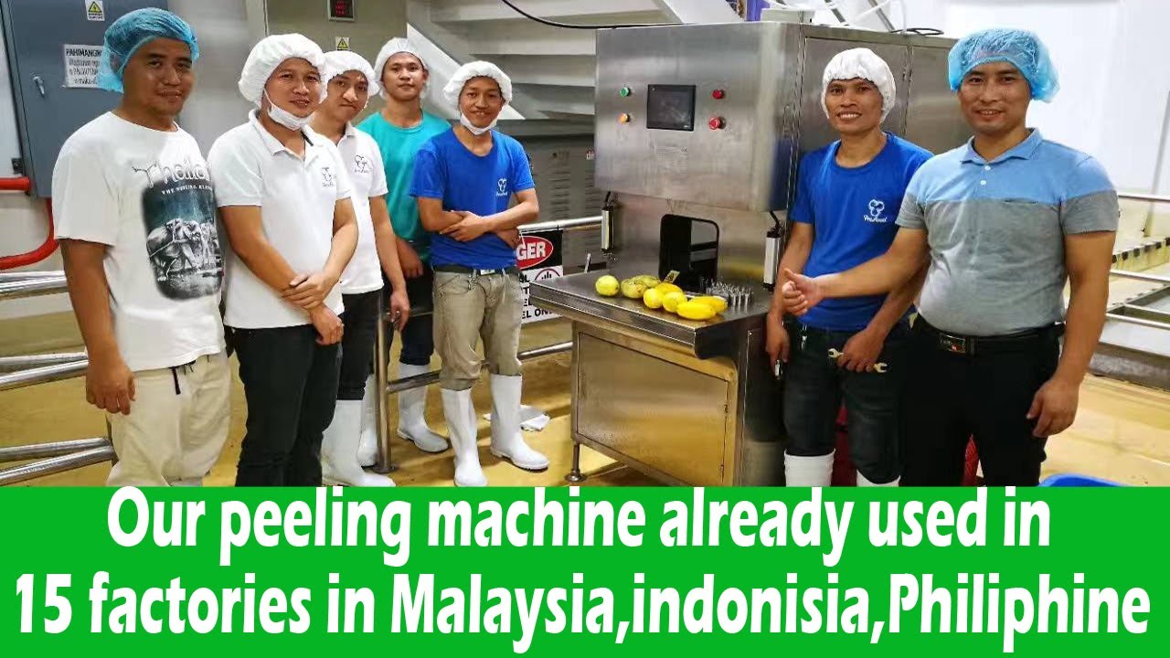 How to peel mango?Industrial Automatic Mango peeling machine V7.0 mango destoner new version2019
