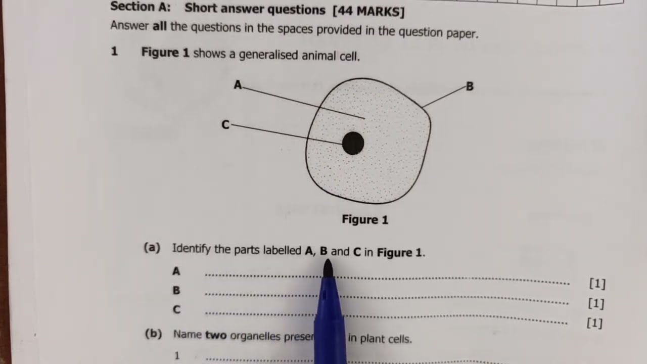 Biology Paper 2 2024 Question 1 and 2