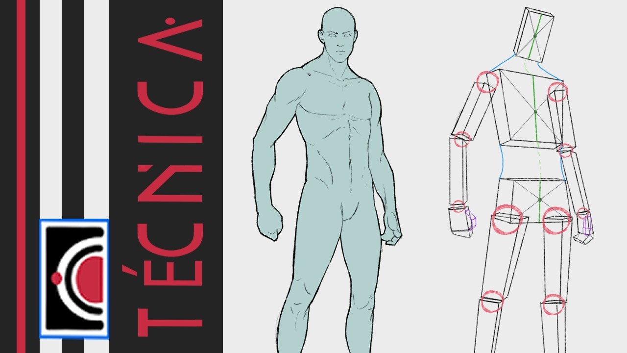 Como dibujar (Simplificar) el cuerpo humano usando maniquis de referencia | Tutorial en español
