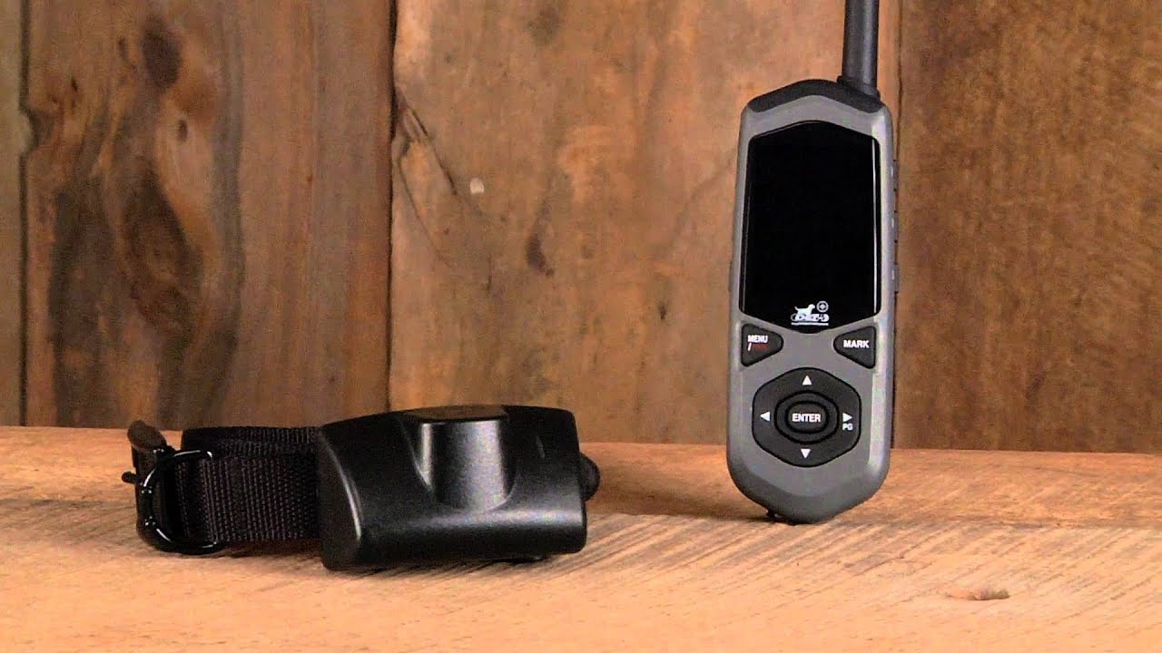 Border Patrol TC1 from D.E. Systems; Wireless GPS Dog Fence