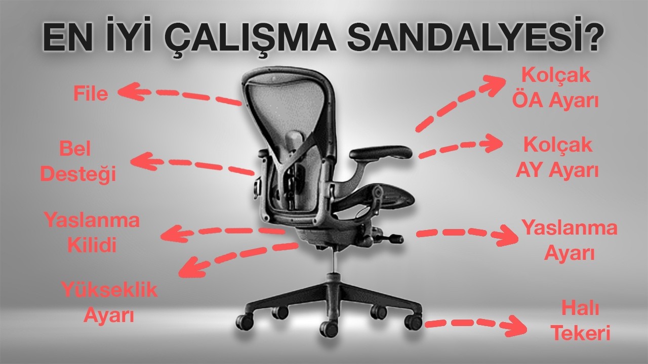 EN İYİ OFİS KOLTUĞU NASIL BULUNUR?