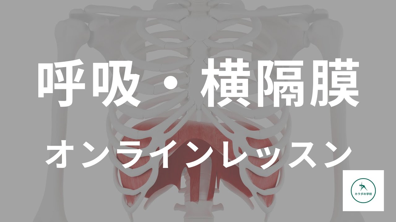 【完全保存版】「呼吸法の改善レッスン」呼吸が浅い人は必見！姿勢・体の歪みに直結する横隔膜を使った腹式呼吸を獲得するレッスン大公開！理学療法士が理論的に呼吸の仕組み〜実践法まで解説【愛媛県松山市】