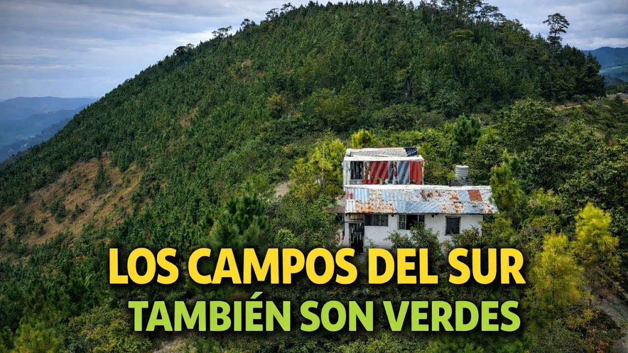 No sabía que en el sur profundo existían campos tan verdes