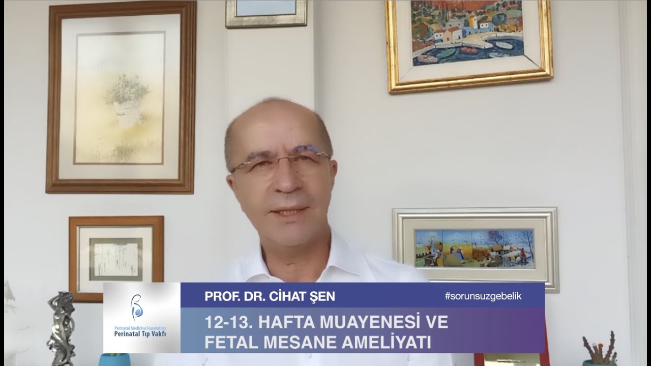 12-13.  Hafta Muayenesi ve Fetal Mesane Ameliyatı - Prof. Dr. Cihat Şen
