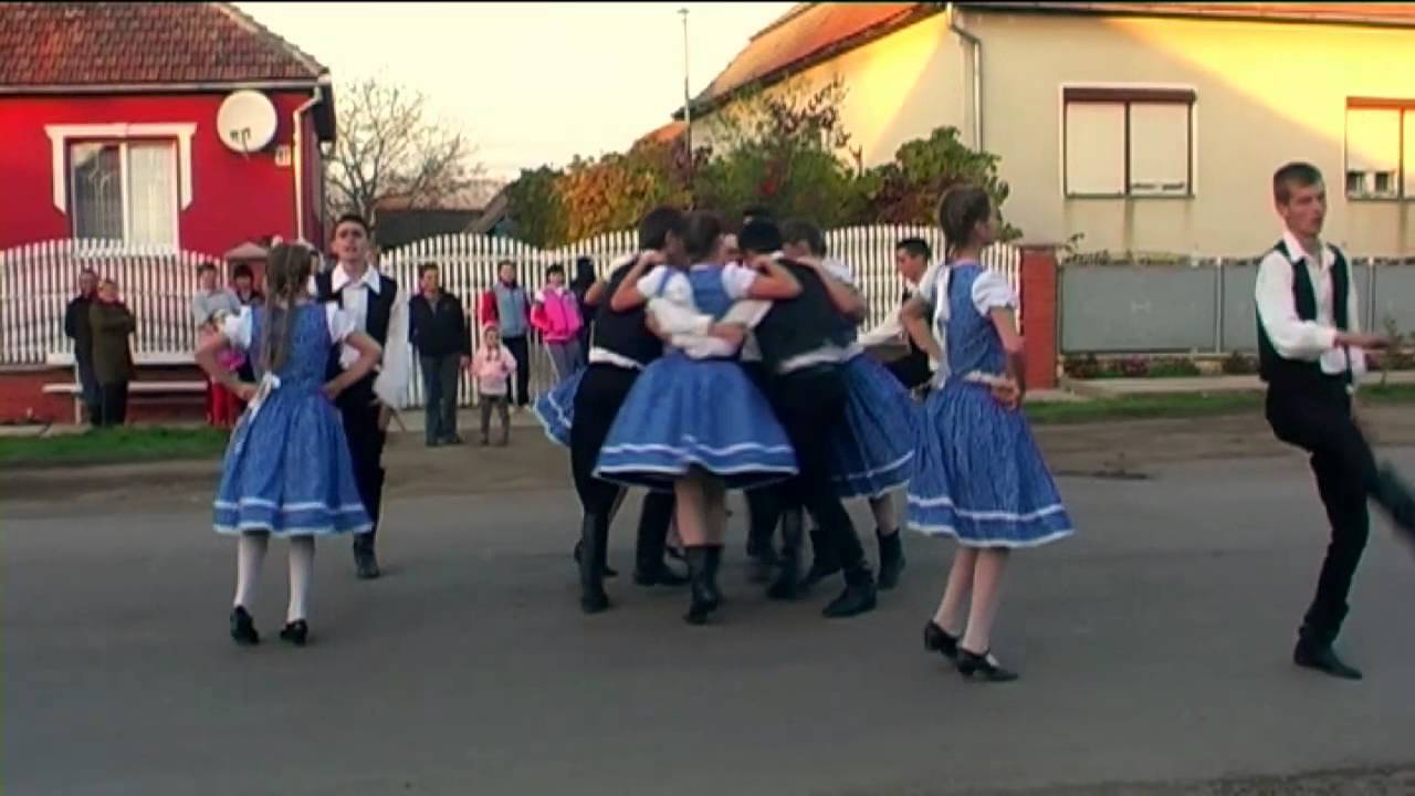 szüreti tánc 2013