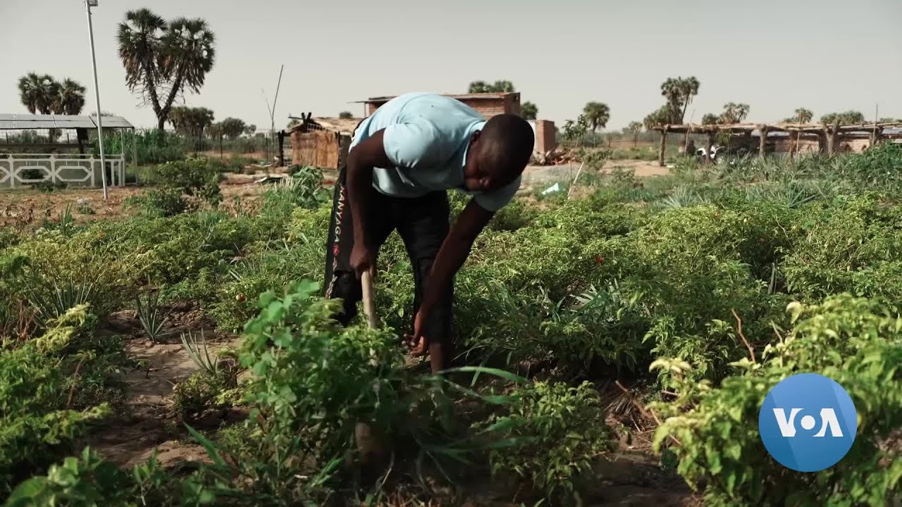 Climate-Caused Conflicts Flare Among Chad's Fulani People | VOANews
