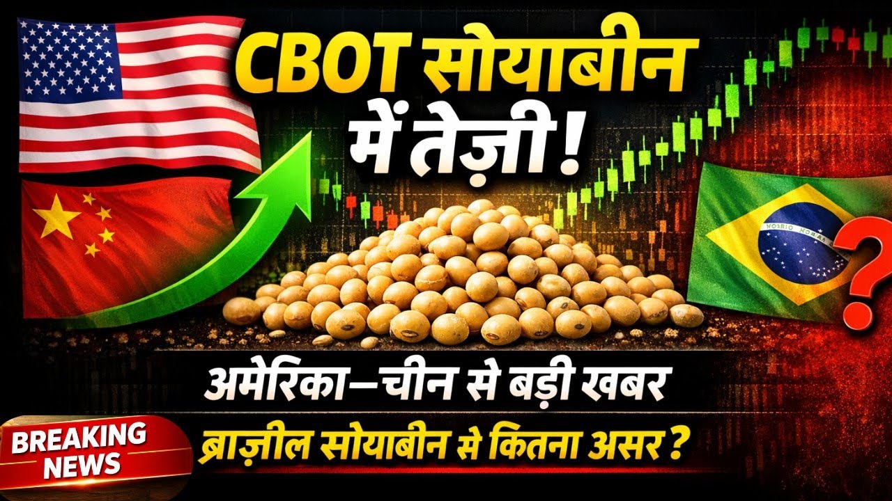 सोयाबीन बाजार में धमाका💥अमेरिका-चीन से आई बड़ी खबर | Cbot Soybean Port Price fob price 