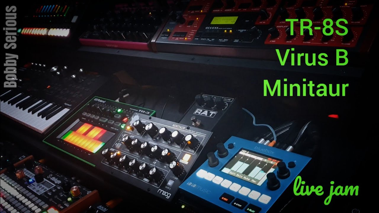 Melodic dawless Jam | TR-8S, virus b and Minitaur | Bobby Serious