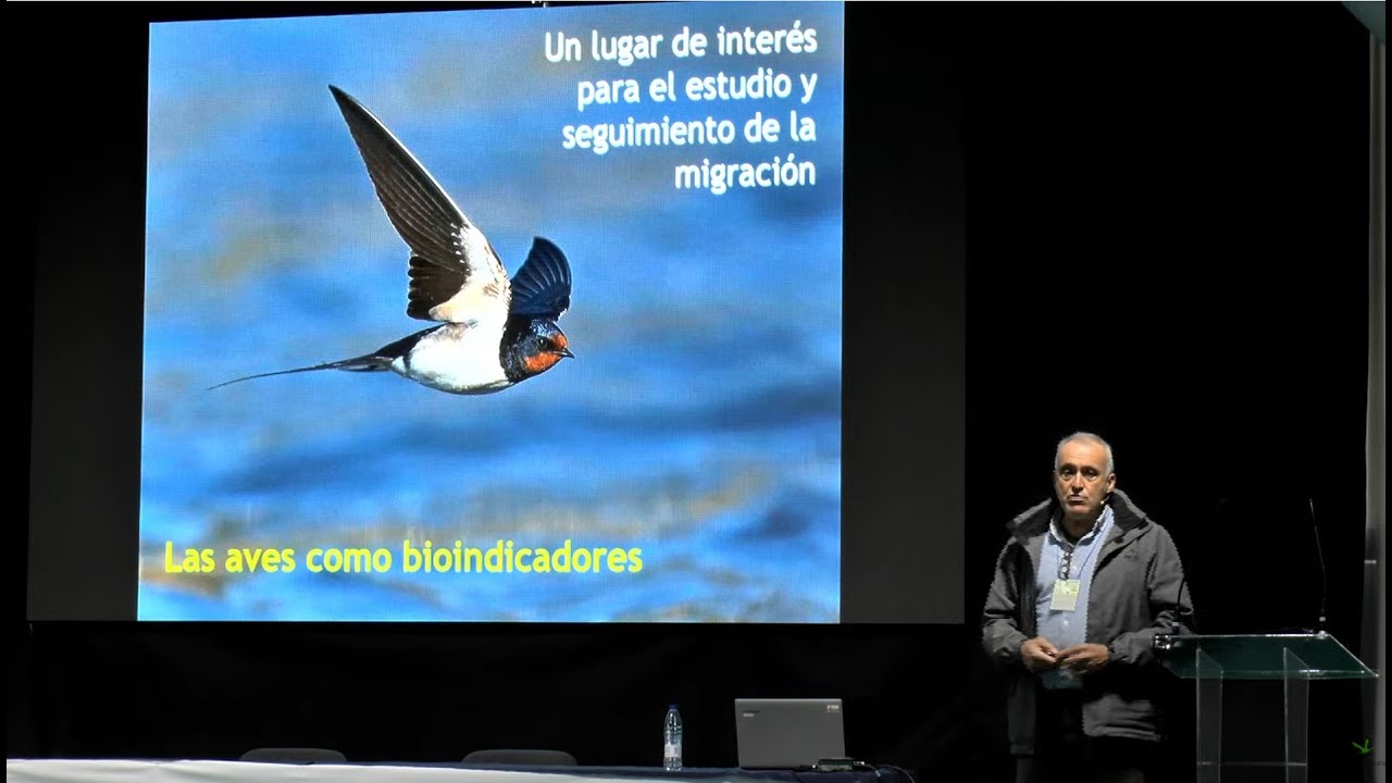 La migración de aves por el estrecho de Gibraltar  25 años de estudio y seguimiento.