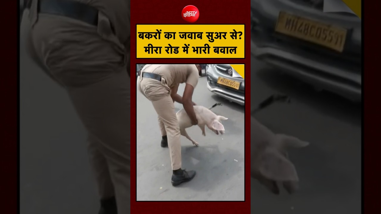 Mira Road Bakrid Row: VHP पर Knife Attack और Protest में Pig की एंट्री का पूरा Viral Video सच