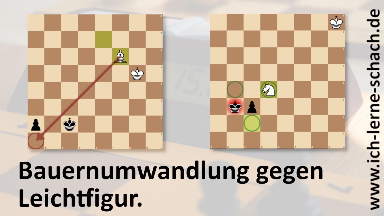 Endspiel-Grundlagen: Leichtfigur gegen Freibauern.