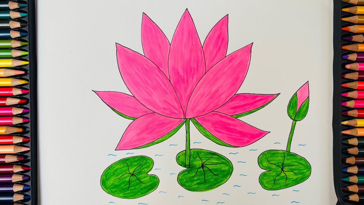 HOW TO DRAW WATER LILY STEP BY STEP || EASY DRAWING AND COLOURING FOR KIDS 🪷 